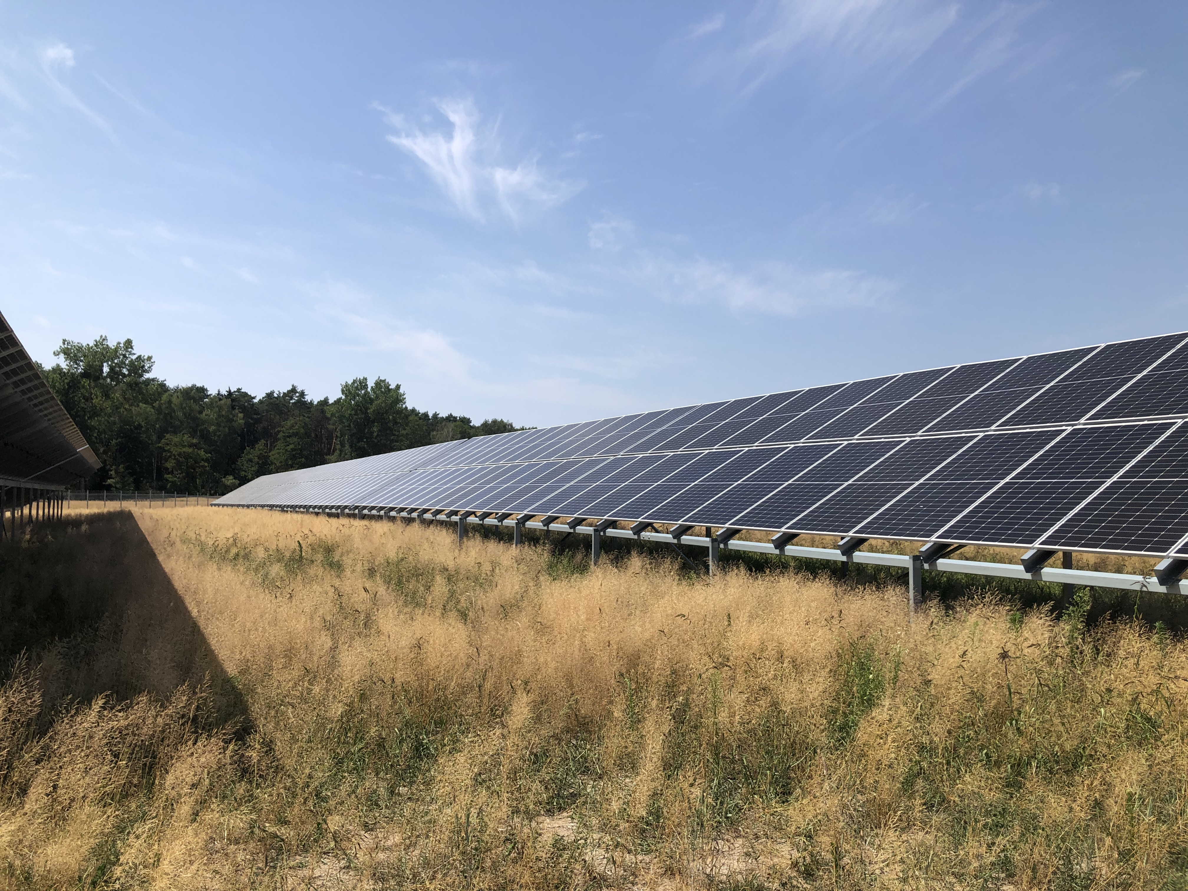 Energia słoneczna dla wszystkich fabryk Nestlé w Polsce