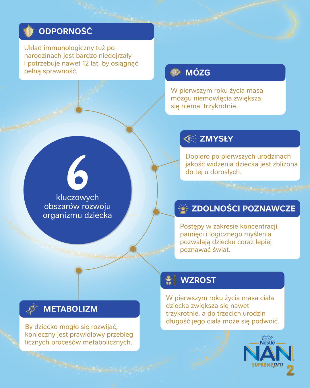 Infografika - 6 kluczowych obszarów rozwoju dziecka