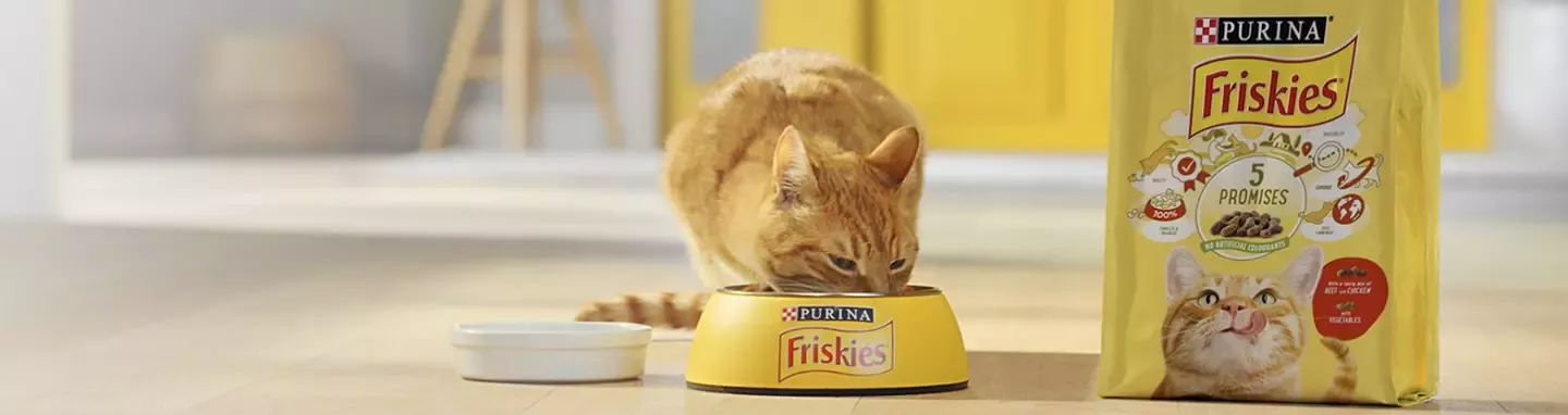 Friskies header