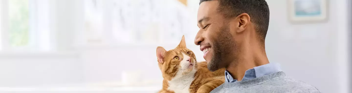 Cat Chow header