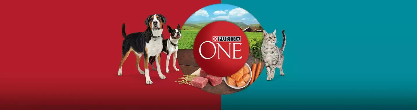 Purina One Header