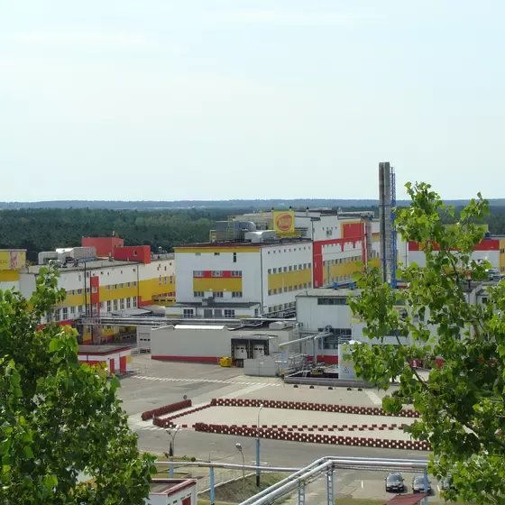 Nestle Polska - Oddział w Kaliszu - Fabryka Wyrobów Kulinarnych