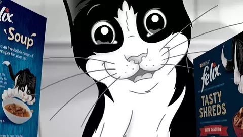 Kot Felix