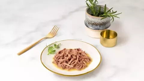 Kot Gourmet