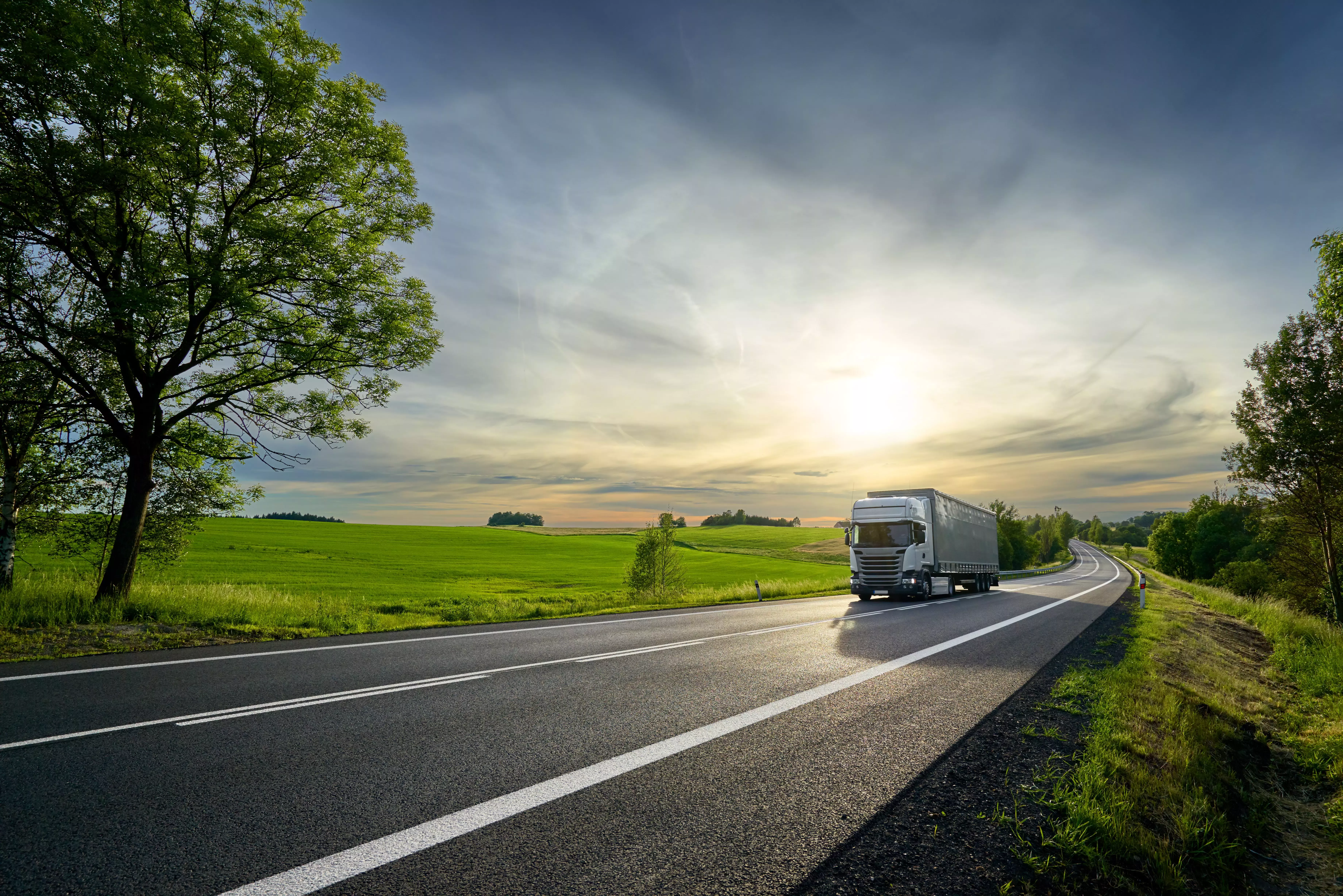 Nestlé i European Clean Trucking Alliance wzywają do bardziej zrównoważonego transportu drogowego