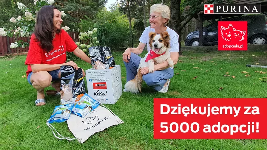 Nestle Purina wspiera Adopciaki_komunikat