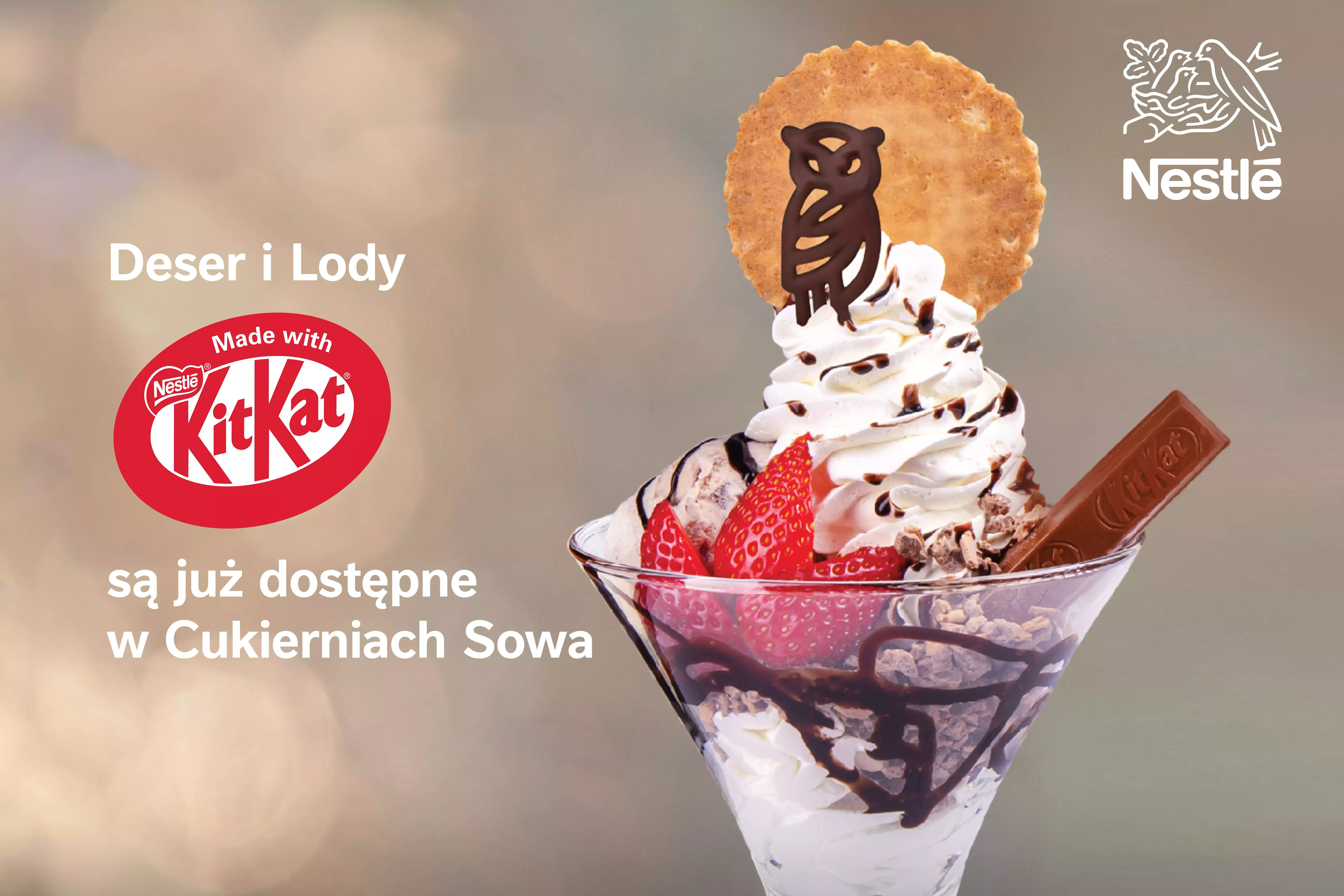 Nestle Kitkat Sowa
