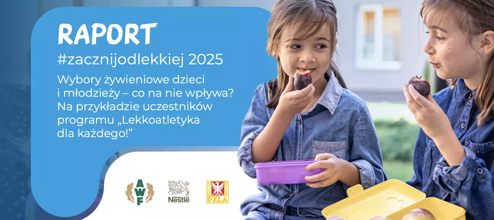 Raport LDK 2025