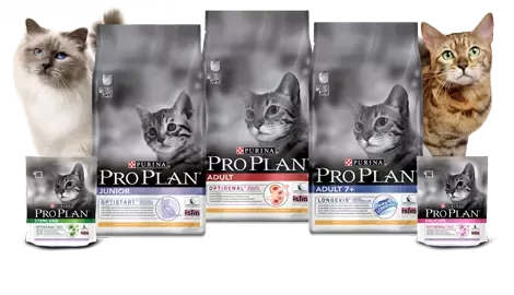 PRO PLAN
