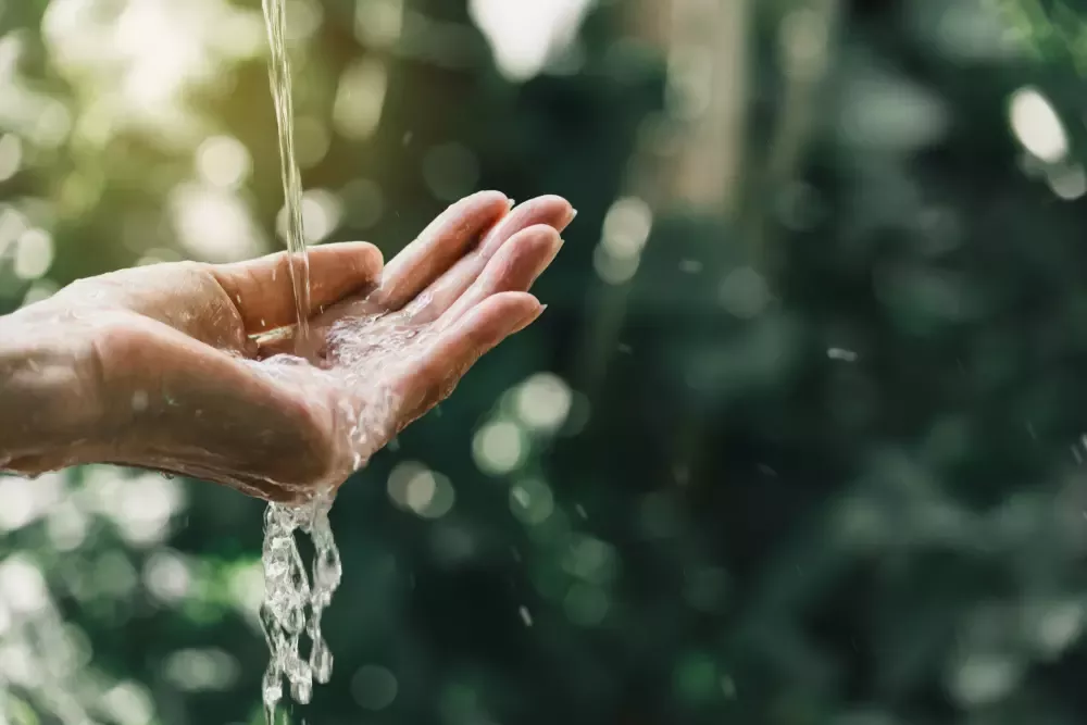 Zobowiązania środowiskowe Nestle Waters