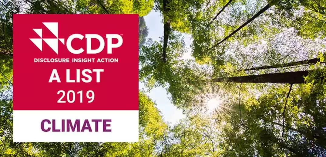 Nestle wyróżnone przez CDP_informacja prasowa_7.02.2020