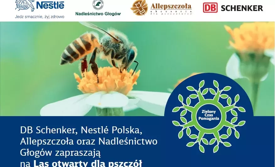 Nestle pszczoły