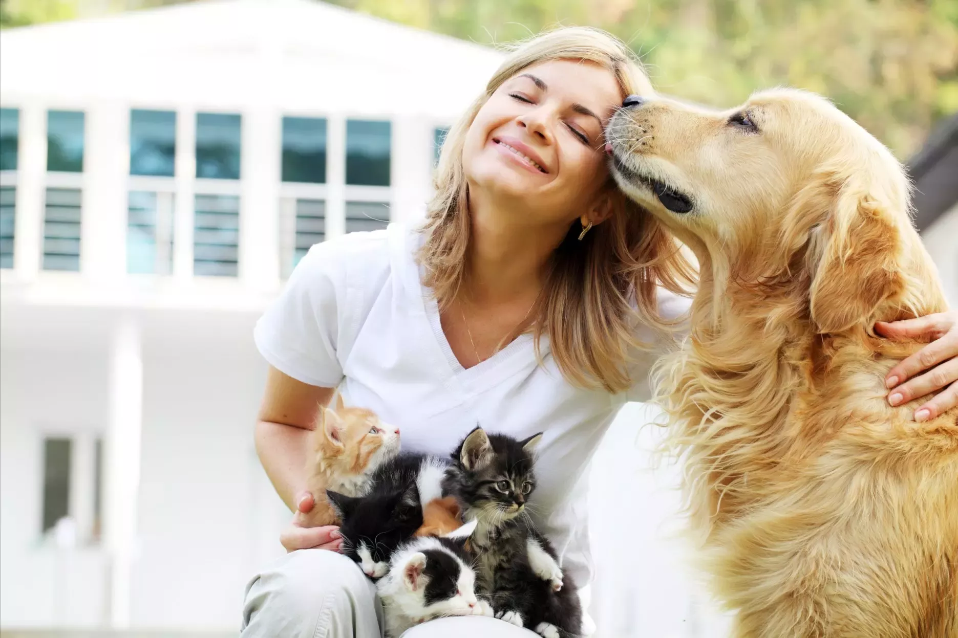 Nestlé Purina PetCare rusza z usługą bezpłatnych teleporad dla opiekunów zwierząt domowych