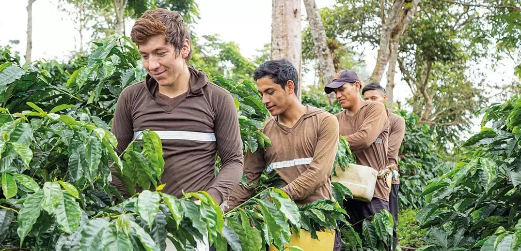 regeneration-coffee-next-generation-wide